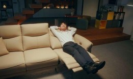 真皮沙发爆料视频,视频爆料揭示惊人真相